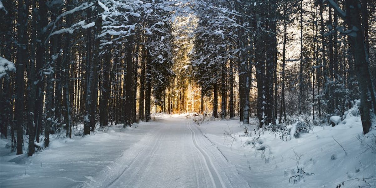 snowy road